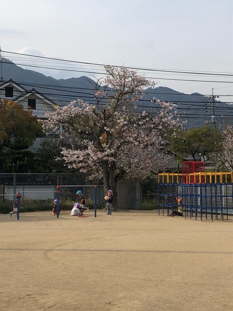 入園・進級おめでとうございます