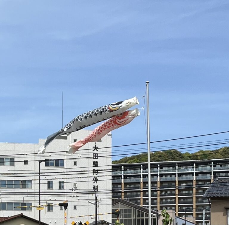 うれしくて、おいしい、こいのぼり🎏