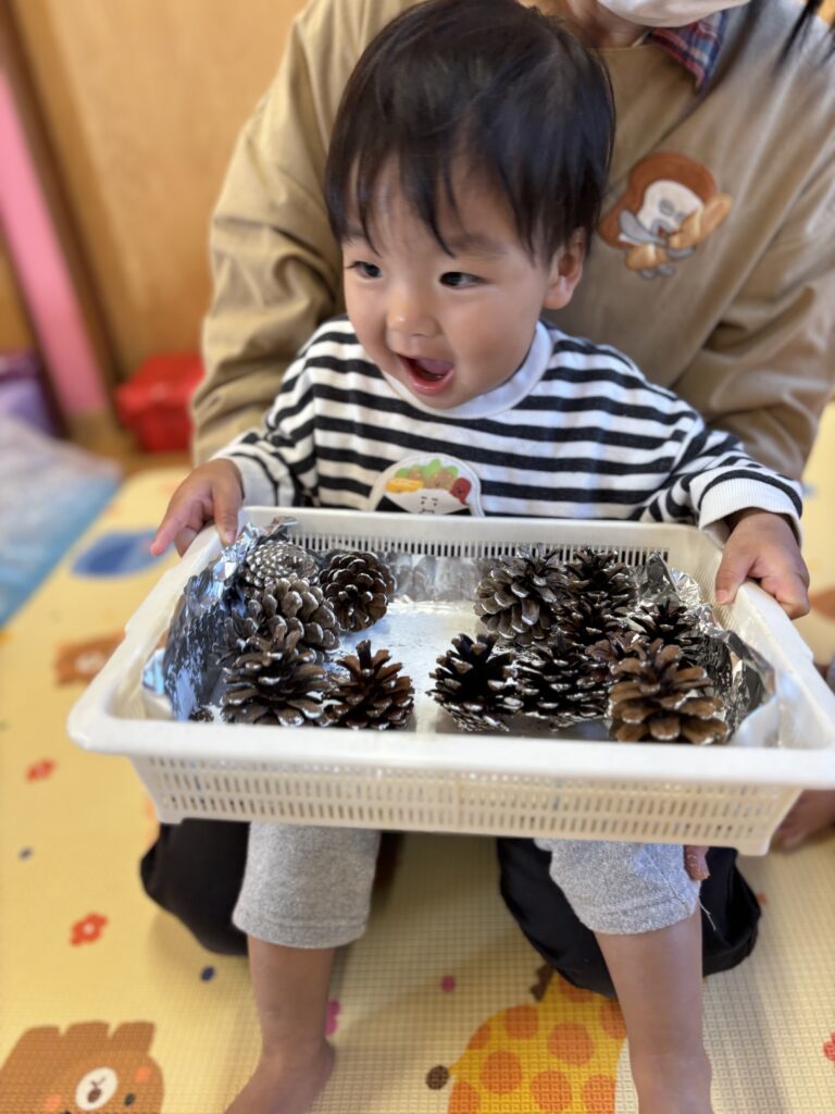 松ぼっくりと毛糸🧶で遊んだよ🌟